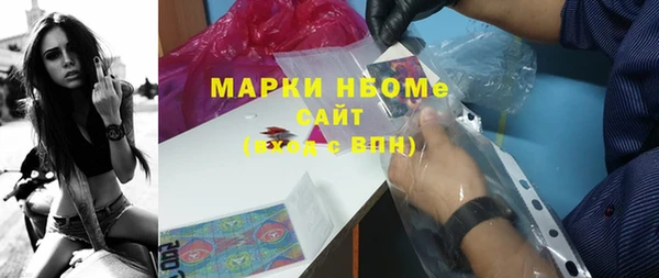 индика Алексин