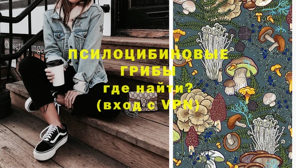 индика Алексин