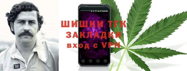 шишки Алзамай
