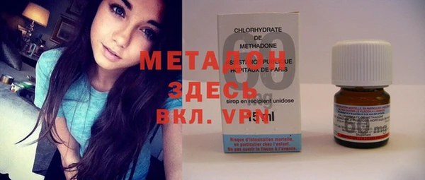 индика Алексин