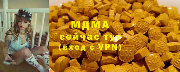 индика Алексин