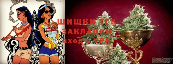 шишки Алзамай