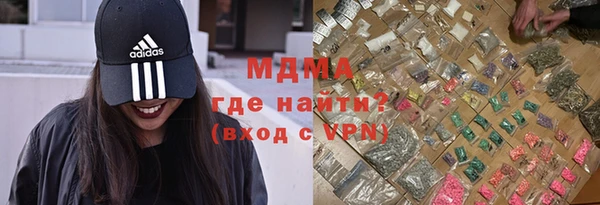 индика Алексин