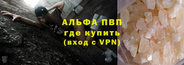 шишки Алзамай