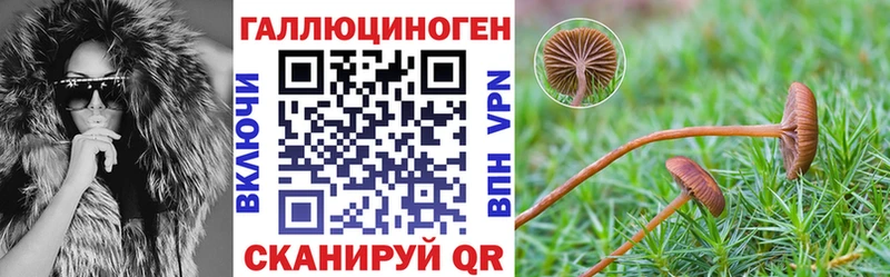 мега как войти  Сортавала  Галлюциногенные грибы Cubensis  как найти закладки 