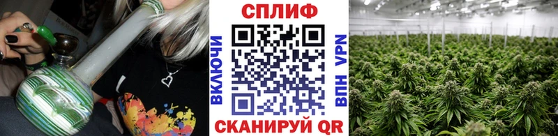 нарко площадка Telegram  закладка  Сортавала  Каннабис индика 